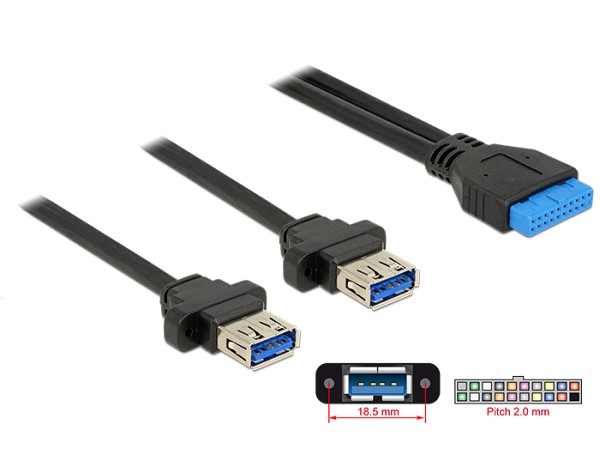 DELOCK καλώδιο USB 3.0 19 pin header (F) σε 2x USB 3.0 (F) 85244, 80cm 85244